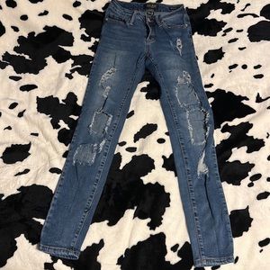 Judy Blue Skinny Jeans